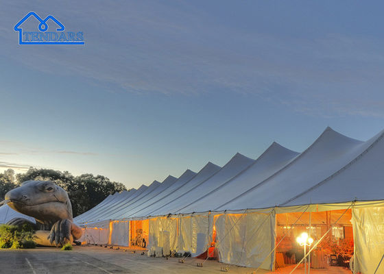 Backyard Gathering Event Marquee Tent Reinforced Alloy White Elegant Canopy Structure